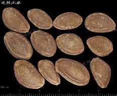 开云首页入口-关于@0栝羴嵫鈦5炼??L?剾瑖櫇5]X男M涯魱袐?癐>8j炷XvHOq